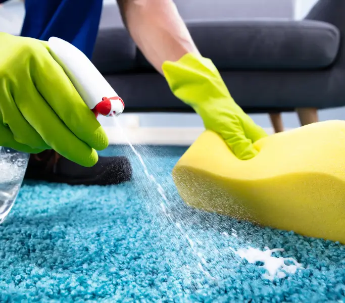 Cleaning a Blue Rug