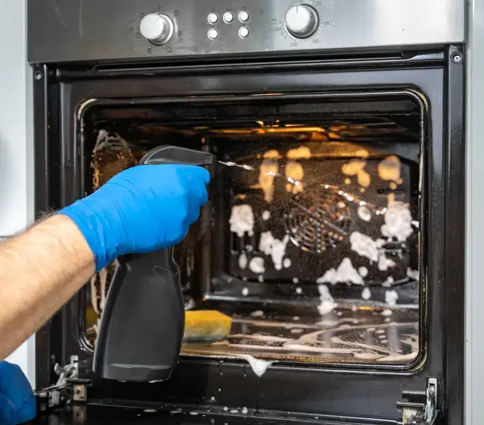 Oven Cleaning Services in Newport